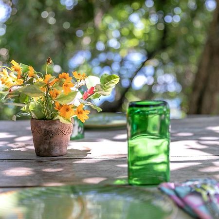 Ngalung Kalla Retreat 와이카부박 외부 사진